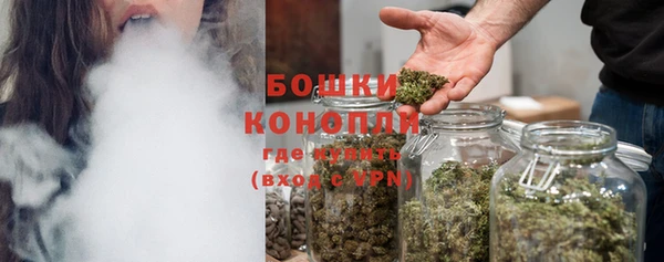 ешки Аркадак