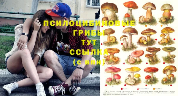 соль курить ск Армянск