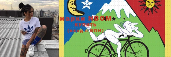 ешки Аркадак